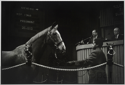 hip 1968