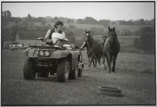 kentucky summer picnic