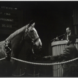 hip 1968