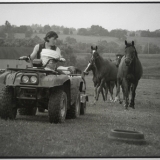 kentucky summer picnic