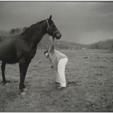 spring foal