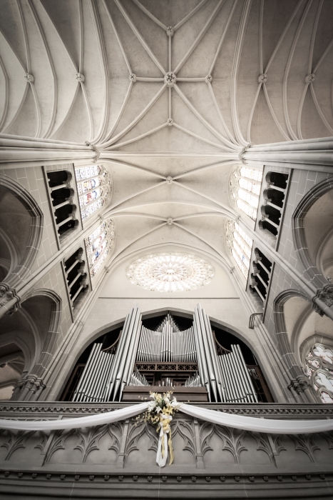 Pipe Organ