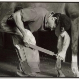 the farrier