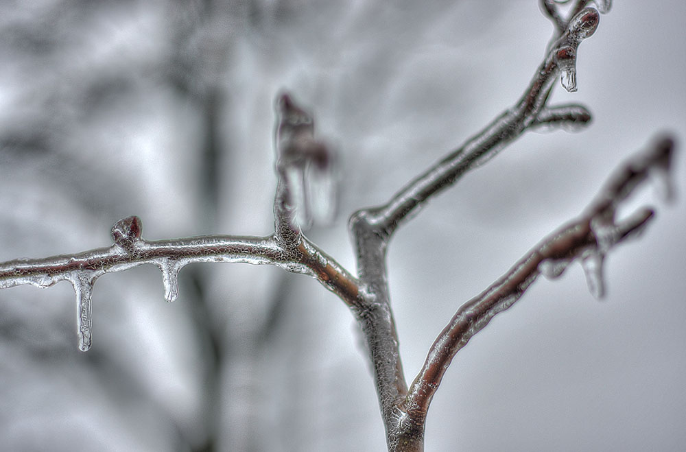 drops