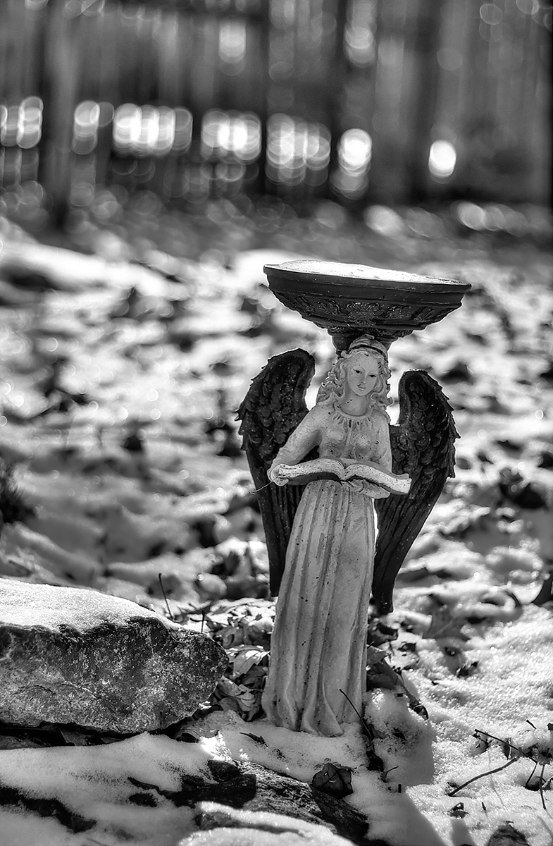 snow angel