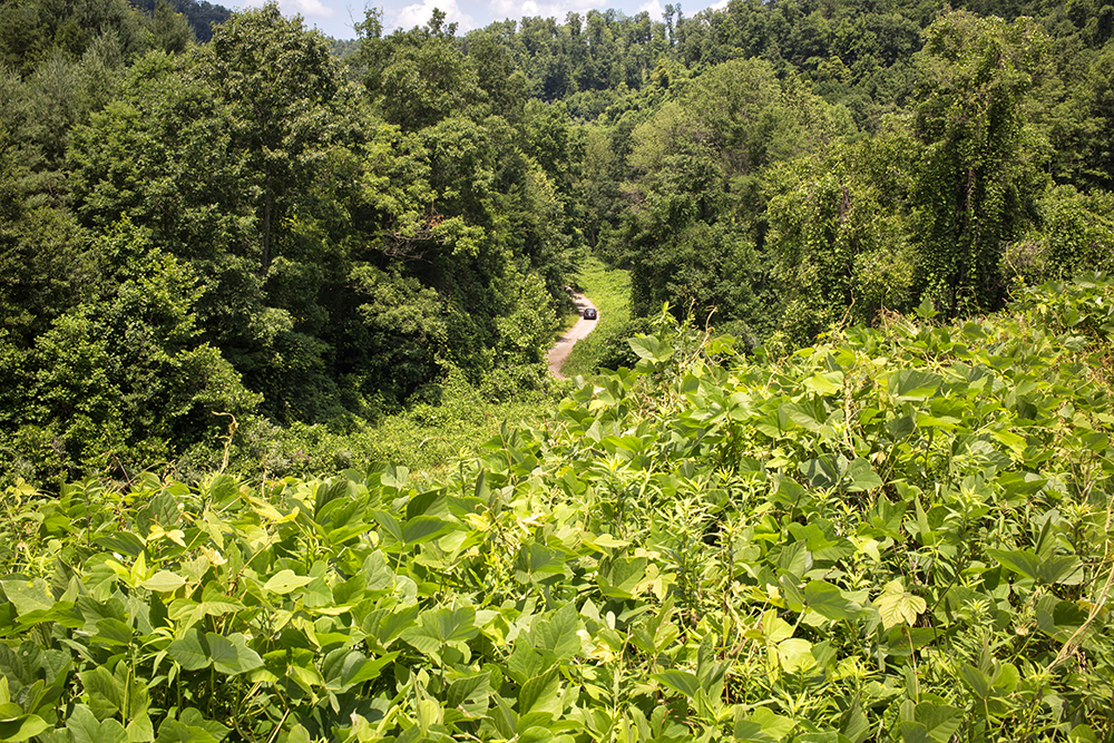 into the valley, toward the commissary
