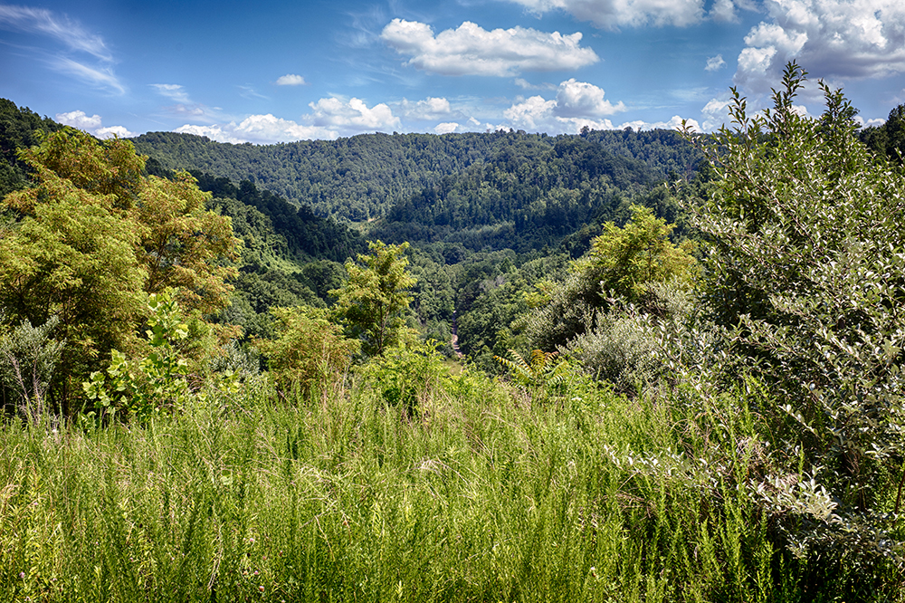 Leatherwood Coal Camp from the bypass